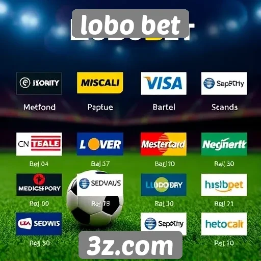 Variedade de métodos de pagamento no Lobo Bet